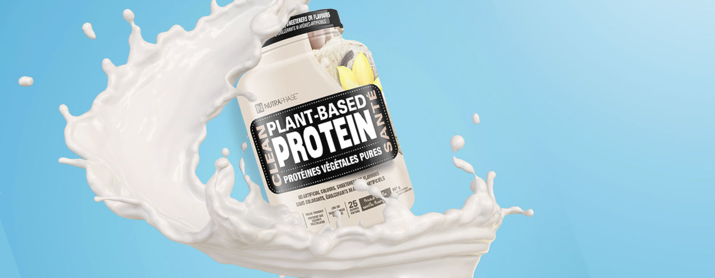 Plant Based Protein Banner